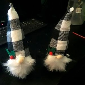 Cute Holiday Gnomes